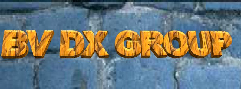 BV DX Group